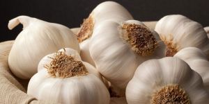 Mutfağın Olmazsa Olmazı; Sarımsak