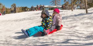 FODER’in ILFIAP üyeliği onaylandı