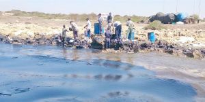 Başbakan Siber: “Sahillerde PAH bulunmadı”