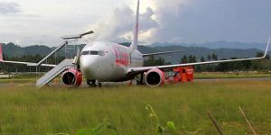 İneğe çarpan yolcu uçağı pisten çıktı