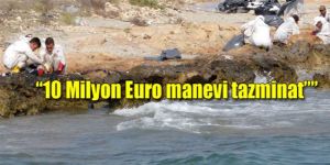 250 ton atık temizlendi