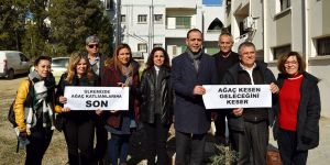 LTB'den örnek davranış