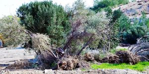 “% 99’u usulsüz, izinsiz, yasa dışı”