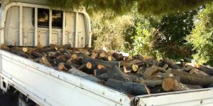 “Yeni yöntem ‘sessiz motor’ ile kesim”