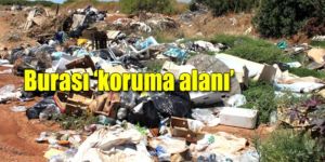 Kaplıca’da çevre duyarsızlığı