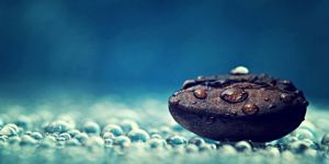 SEVMEK… YAŞAMAK DEMEKTİR…