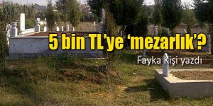 Gaziveren isyanda