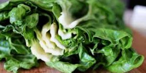 Pazı, armut, salatalıkta kalıntı!