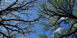 Hava sıcaklığı düşecek