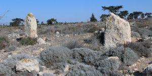 Mevlevi’de Tarihi Zenginlik