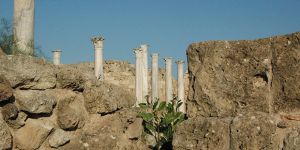 “Cumhurbaşkanı konuyu Anayasa Mahkemesi’ne taşımalı”