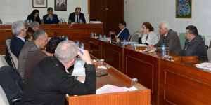 'Eski Eserler'de değişiklik görüşüldü