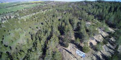 Yangın tehlikesine karşı tüm orman yolları 3 gün trafiğe kapatıldı