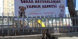 Sokak hayvanları yararına kermes