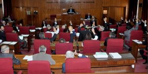 'Özel Güvenlik' oy çokluğu ile geçti