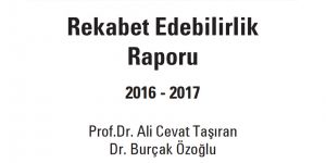 REKABET EDEBİLİRLİK RAPORU: