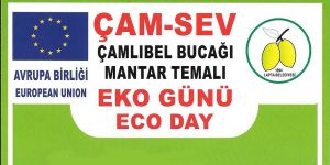 Mantar temalı 3. Eko Gün Etkinliği, Pazar Günü Çamlıbel’de…