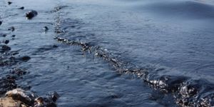 Petrol felaketi tabiplerce tartışılyor