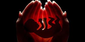 DÜNYADA GEBELİK SONLANDIRMA POLİTİKALARI (HARİTALANDIRMA)