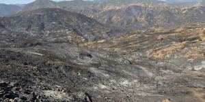 Yeşilırmakta son durum