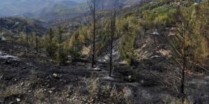 Çevre Bakanlığı olmadan sorunlar çözülemez