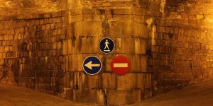 Direnebilme Potansiyelimiz, Popülist Moment ve Sol