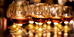 Zivaniya ve tüm akrabaları