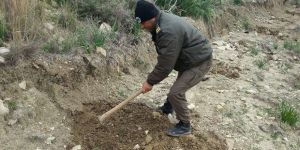 İlk fidanlar dikildi