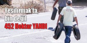 Orman Dairesi, yeni rakam açıkladı