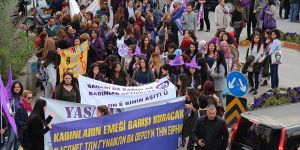 Meliz Akçal için meclis önünde toplanılacak