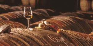 Tanrıların içeceği