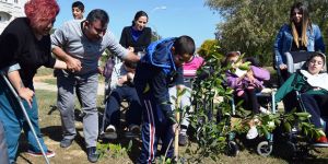 LTB'nin fidan dikimi devam ediyor