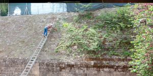 Lefkoşa Surları temizlendi