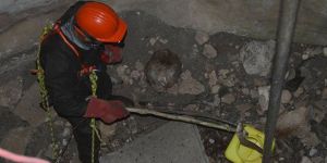 Gufi’yi kurtarma operasyonu!