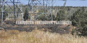 Lefkoşa'da yangın!