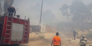 Yanan hurma ağacı, bir evin çatısına düştü!