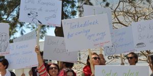 DAÜ’lüler hayvan dostları için yürüdü