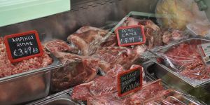 Kuzunun kilosu,  kuzeyde 45 TL,  güneyde 31 TL!