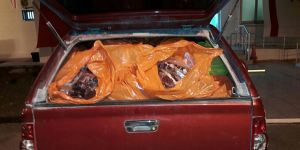 4 ayda 2 ton,  bir yılda 7 ton  KAÇAK ET