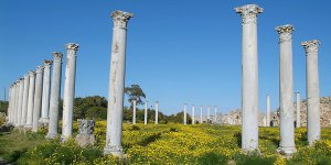 CTP: “Değerlerimiz gelecek nesillere aktarılmalı”