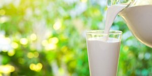 1029 üreticiye, 11 milyon 725 bin 972 TL