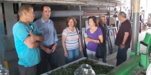 "Sanayi esnafı kan ağlıyor!"