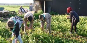 20 gram’la başlayan üretim 400 kiloya ulaştı