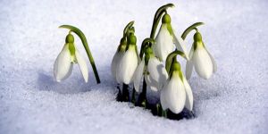 Şiirlerle büyüsün çocuklar