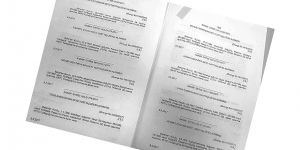 Bir toplantı, 20 YENİ YURTTAŞ!