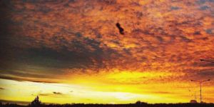 Bir Butch Kadın İçin Aşk Şiiri