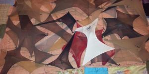 Feminist Bir Bakışla Sanat Üretmek: Zehra Şonya