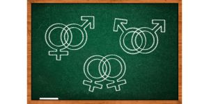 Çeşitliliği Savunan Bir Eğitim Sistemi İçin...