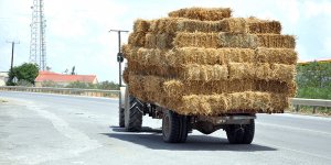 Tarladaki üretici kaygılı:  Arpa fiyatları ne oldu?