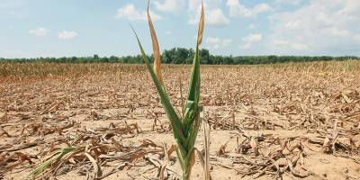 Kuraklık saptaması için Türksat’tan uydu görüntüleri alınacak